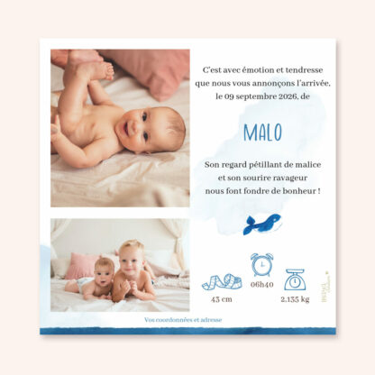 MARIN – Image 2