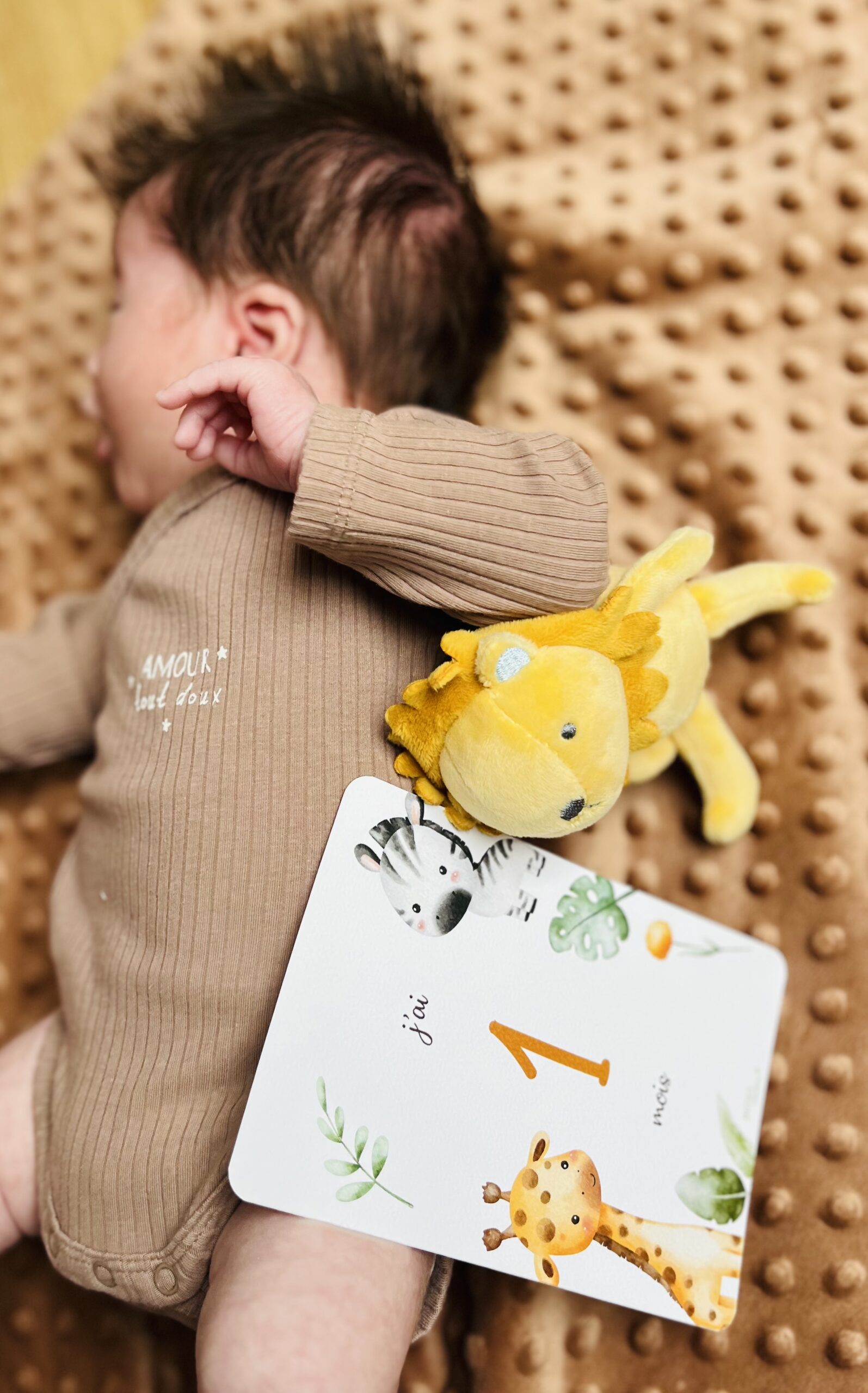 cartes étapes naissance pour immortaliser la première année de votre enfant